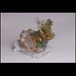 Arctic Spring 9 x 10 x 8 in.jpg